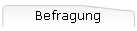 Befragung